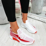 Women Casual Breathable Mesh Running Sneakers