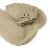 Warm Honey Blonde  Invisible Clip-ins